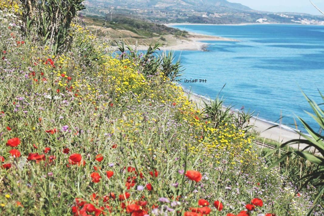 Vila Climatizzato In Centro A 100M Dal Mare Cirò Marina Exteriér fotografie